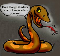 Rattlesnakes can see warm objects in the dark - the same way as pyroelectric detectors do.